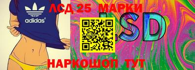 молекула духа Заволжье