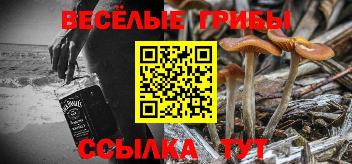 Минеральные Воды  Галлюциногенные грибы мицелий  даркнет сайт  Вход с VPN 